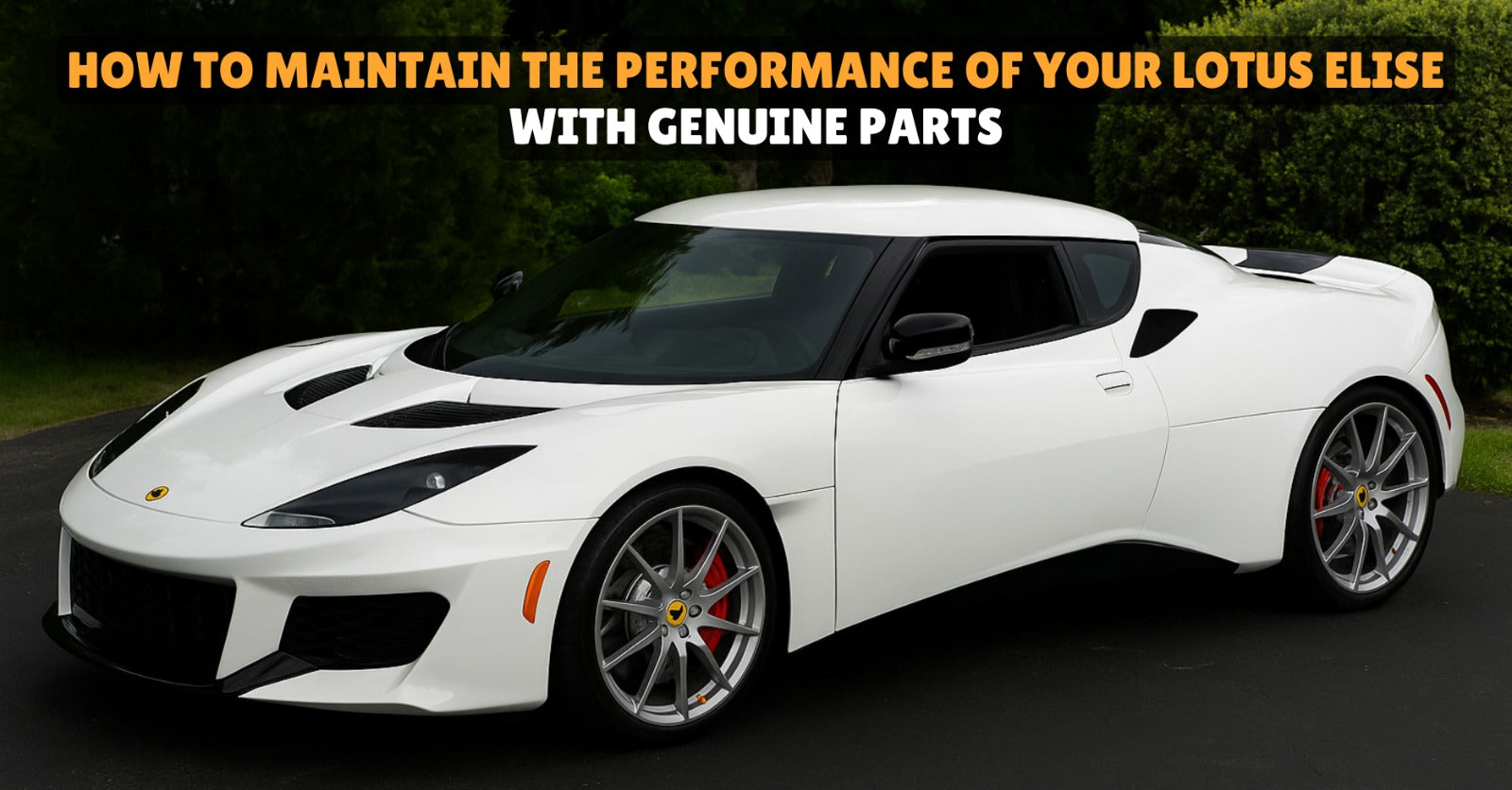 Lotus Elise Genuine Parts