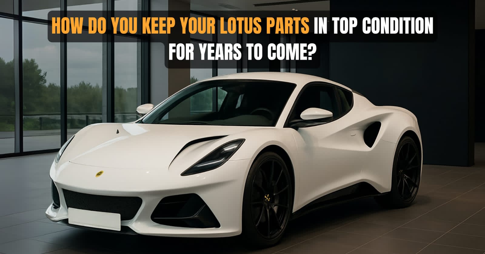 How to Keep Your Lotus Parts in Top Condition for Years to Come