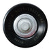 ASTON MARTIN IDLER PULLEY (9G33-19A216-AA) Aston Martin