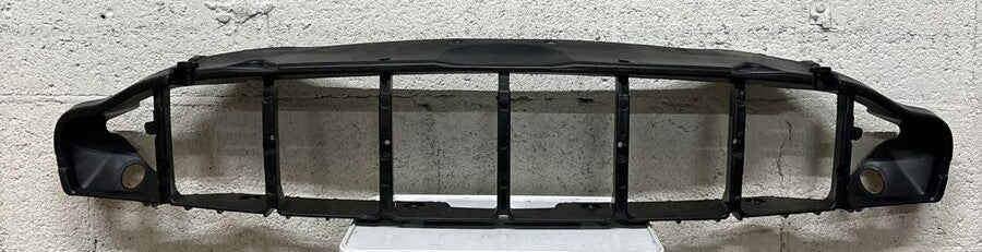 ASTON MARTIN GRILLE SUR MLD ASSY (DD43-8190-AA )